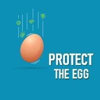 Protect the Egg