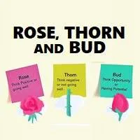 Rose, Thorn and Bud