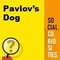 Pavlov's Dog
