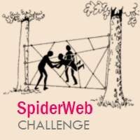 Spiderweb Challenge