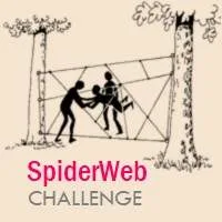 Spiderweb Challenge