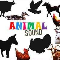 Animal Sound