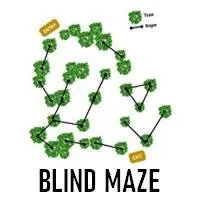 Blind Maze