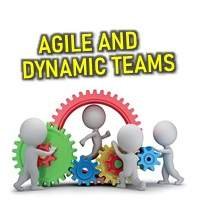 Agile and Dynamic Teams