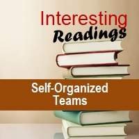 Self-Organized Teams