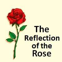 The Reflection of the Rose