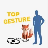 Top Gesture