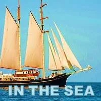 In the Sea