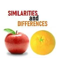 Similarities and Differences