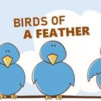 Birds of a Feather