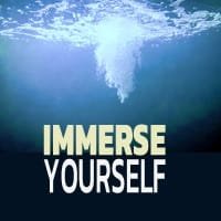 Immerse Yourself