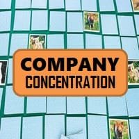 Company Concentration
