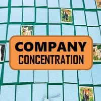 Company Concentration